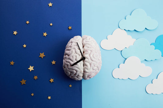How sleep detoxes your brain