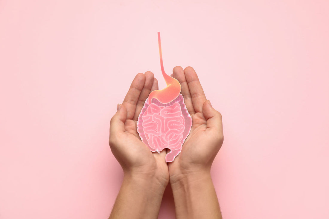 Butyrate: The gut-to-brain signal for calm