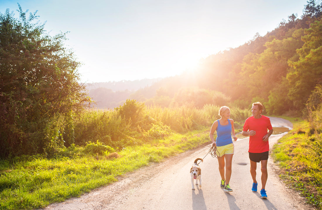 two active seniors jogging in the morning light